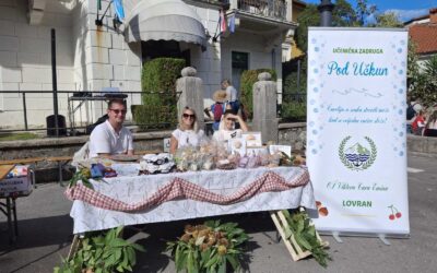 Marunada: tri razgovora Luke Pudića