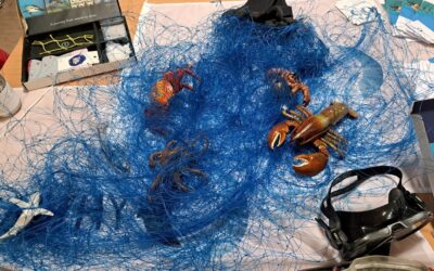 Školski projekt Čuvajmo naše more