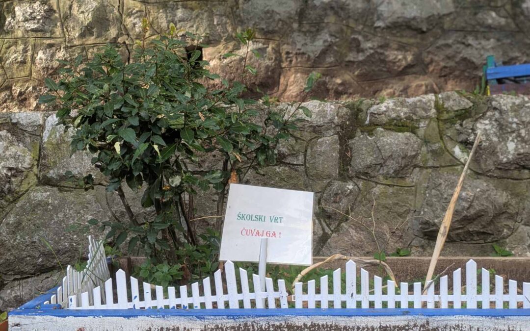 Mali ekolozi 4.b razreda