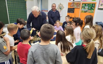 Radionica izrade pusta