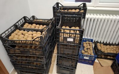 Ekoakcija za čisto more i bolju i ljepšu budućnost