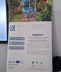 Marun kao kulturna i prirodna baština