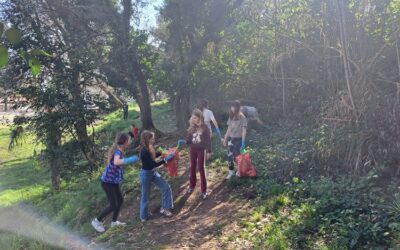 Akcija čišćenja okoliša škole