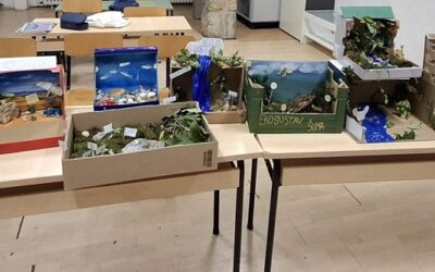 Priroda u malom – učenici 6. a i 6. b izradili su 3D makete ekosustava